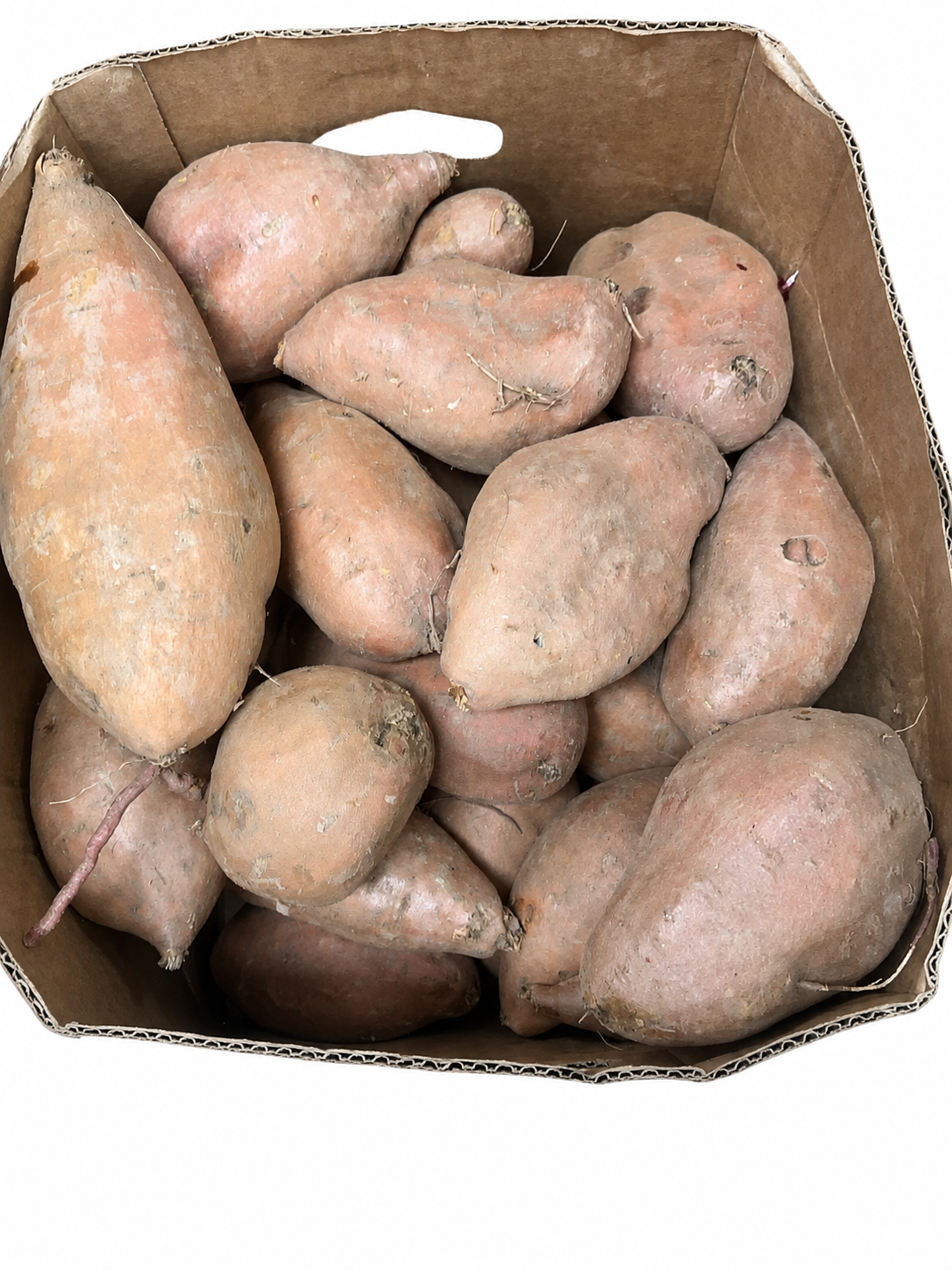 Fresh Sweet Potato — Per lb