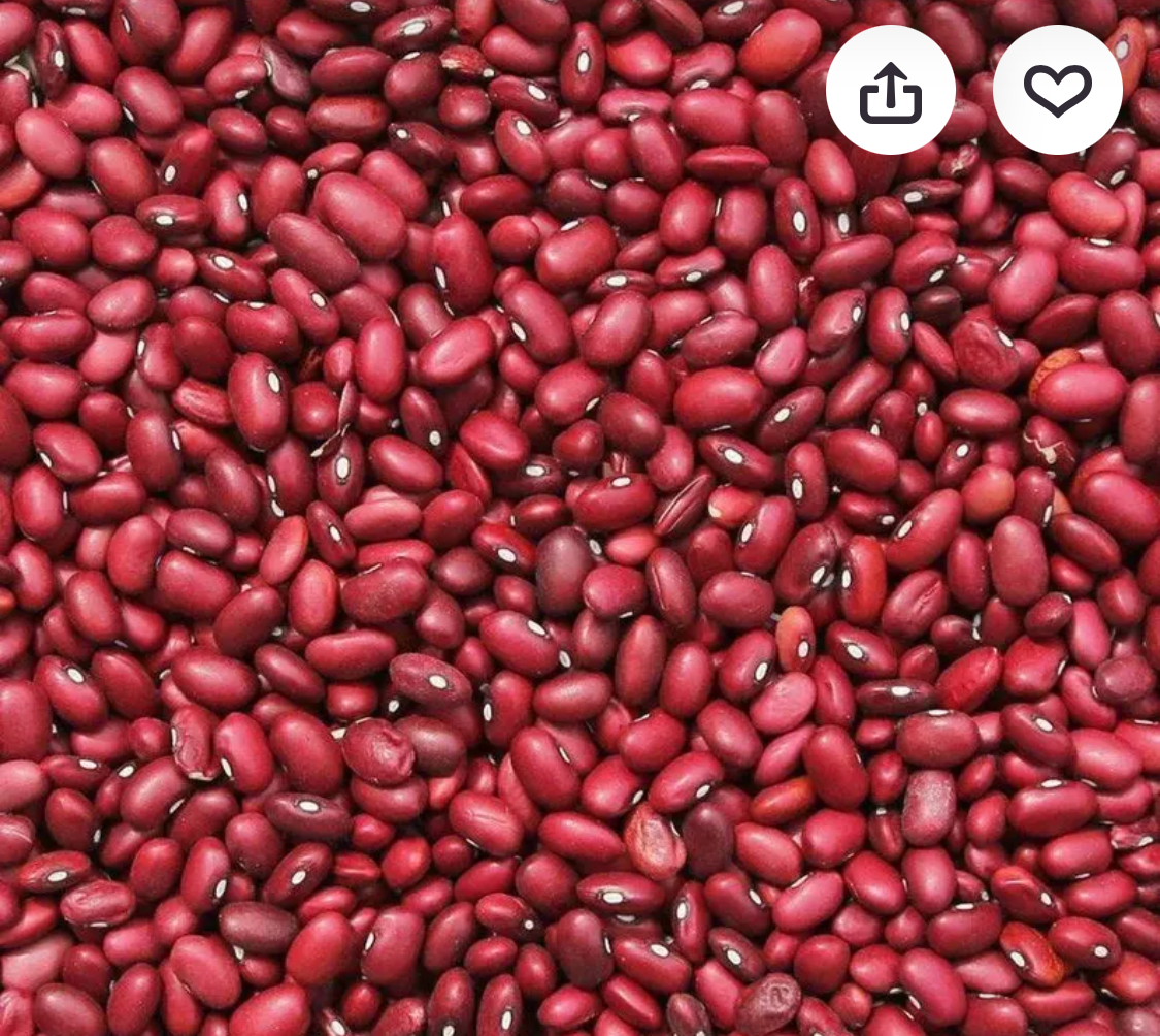 Abeja Reina Frijol Rojo — Per lb
