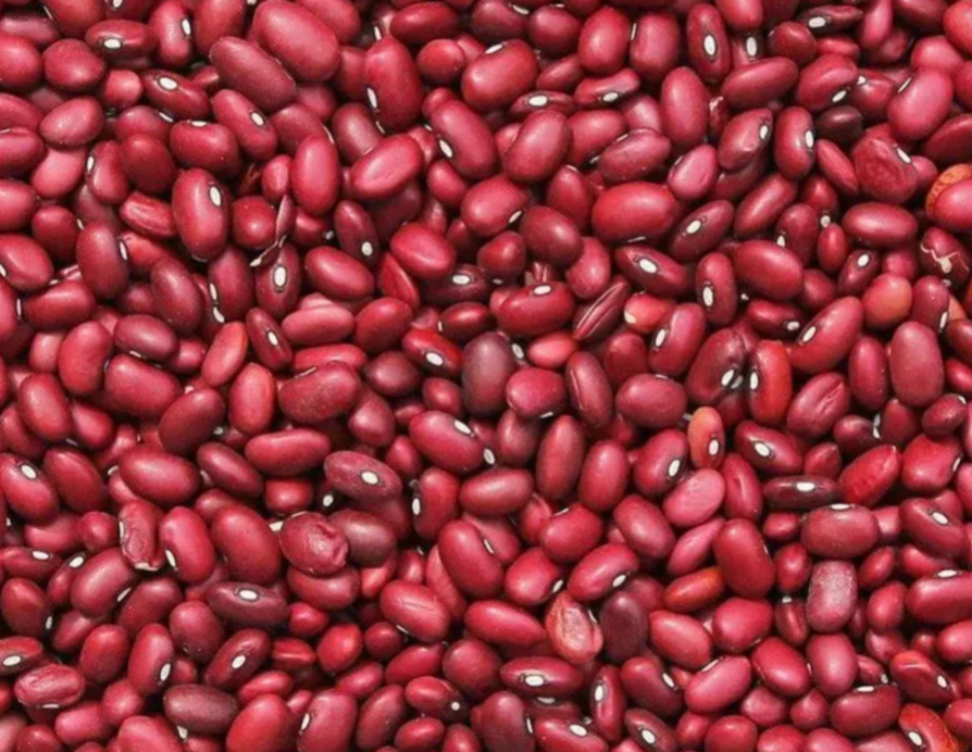 Abeja Reina Frijol Rojo — Per lb