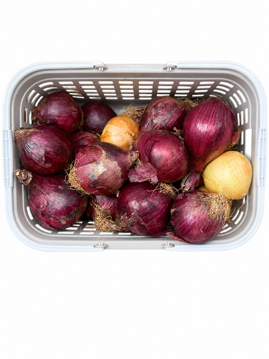 Fresh Onions
