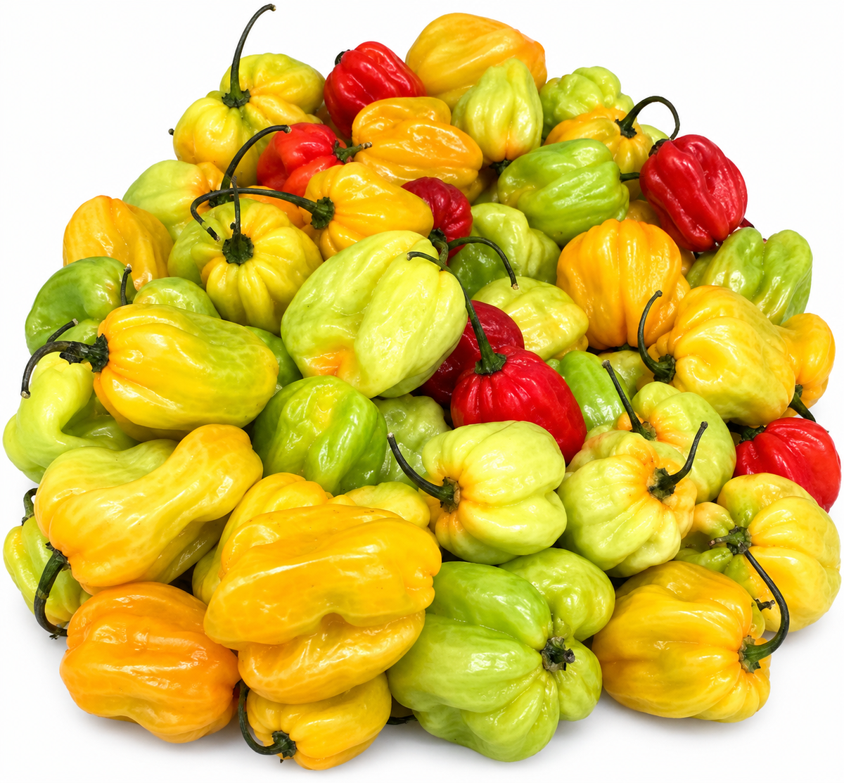 Fresh Peppers — Per lb