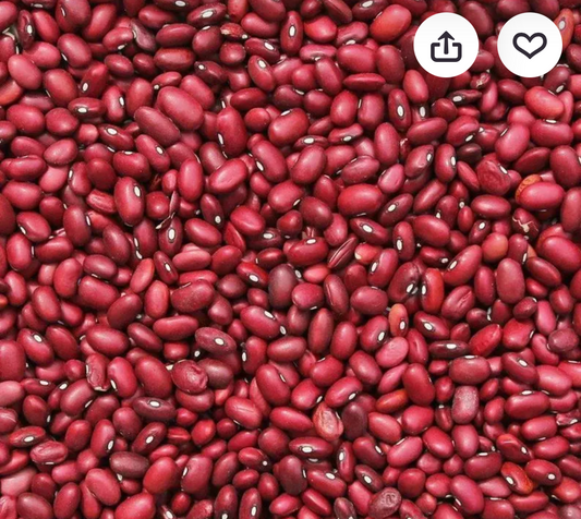 Abeja Reina Frijol Rojo — Per lb