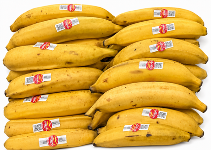 Fresh Plantain