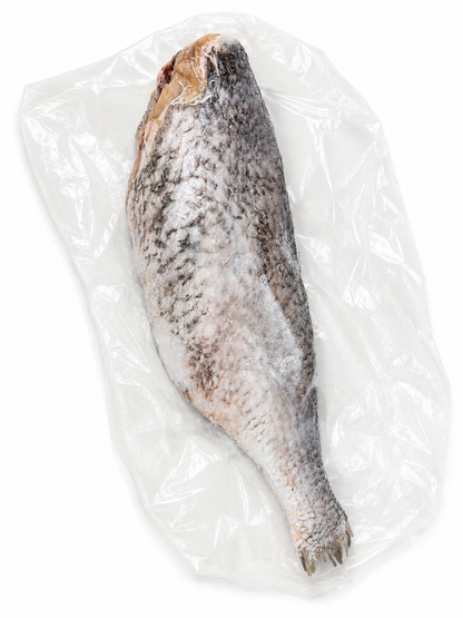 Fish