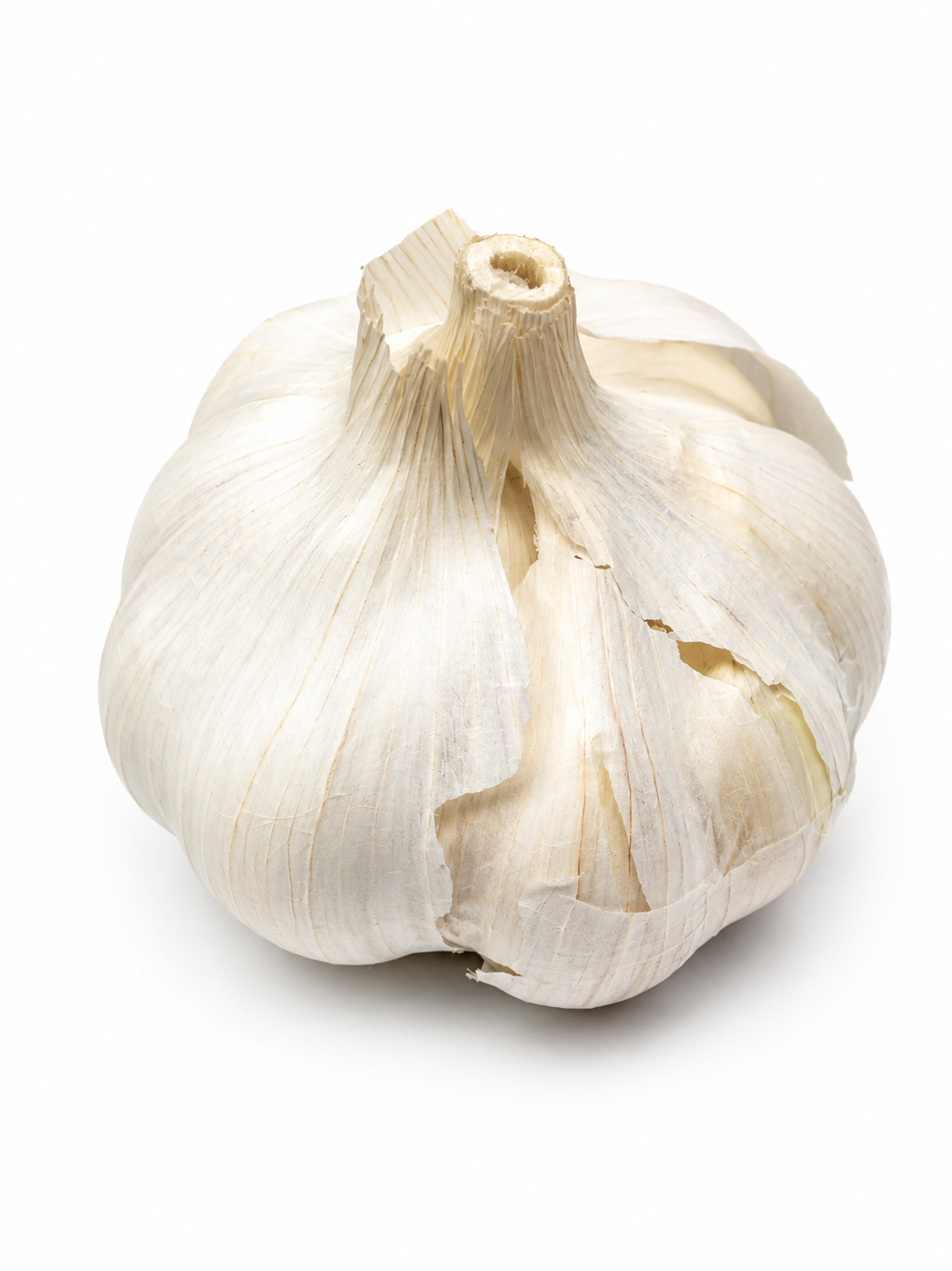 Fresh Garlic — Each