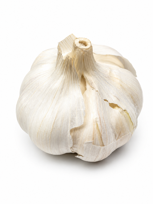 Fresh Garlic — Each