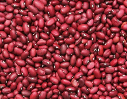 Abeja Reina Frijol Rojo — Per lb