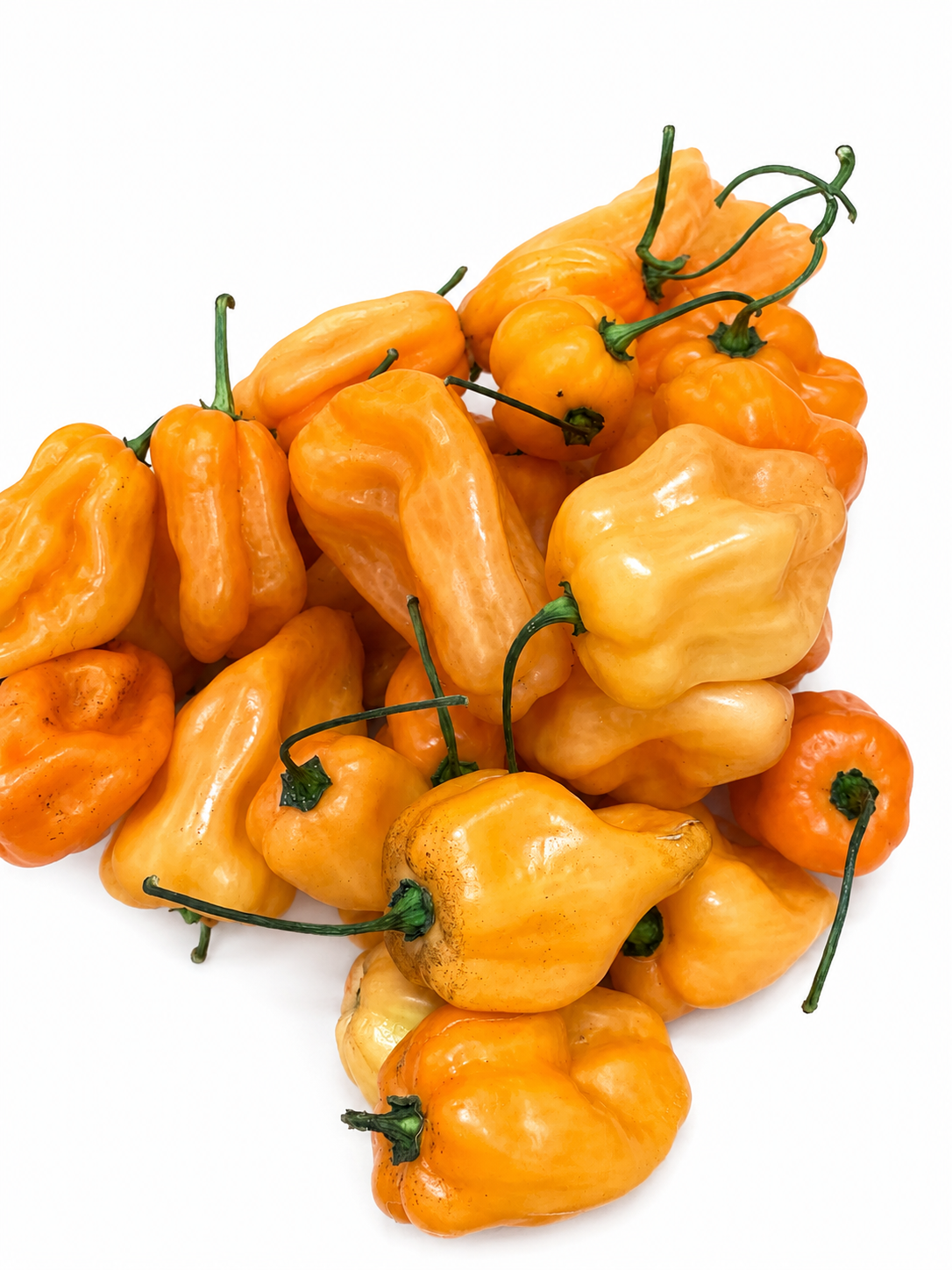 Fresh Peppers — Per lb