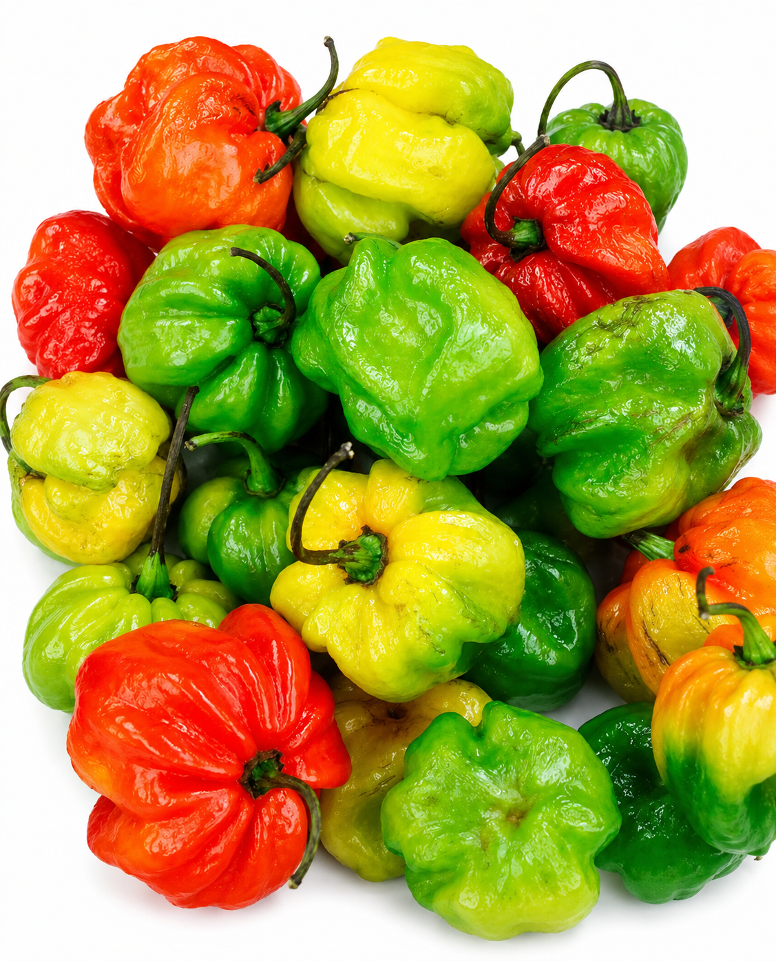 Fresh Peppers — Per lb