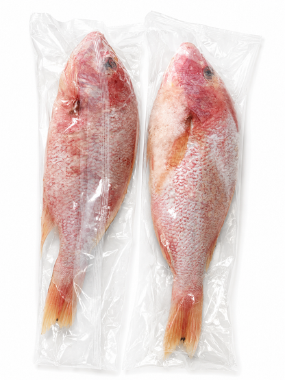 Fish